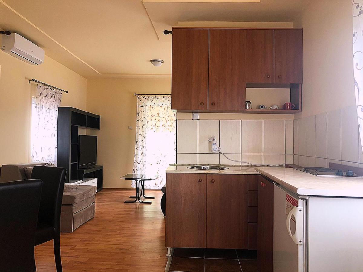 Apartman Sasa Banja Koviljaca Bagian luar foto