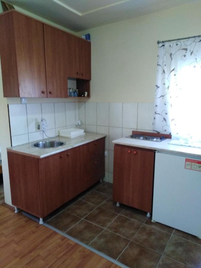 Apartman Sasa Banja Koviljaca Bagian luar foto