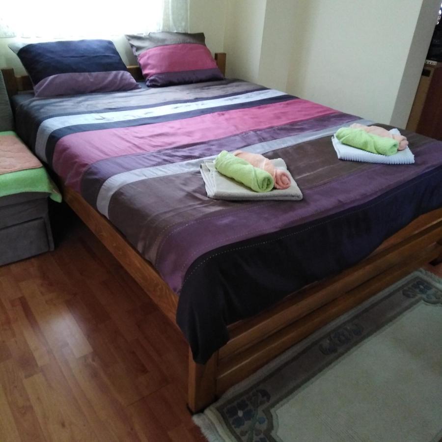 Apartman Sasa Banja Koviljaca Bagian luar foto