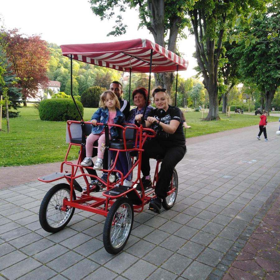 Apartman Sasa Banja Koviljaca Bagian luar foto