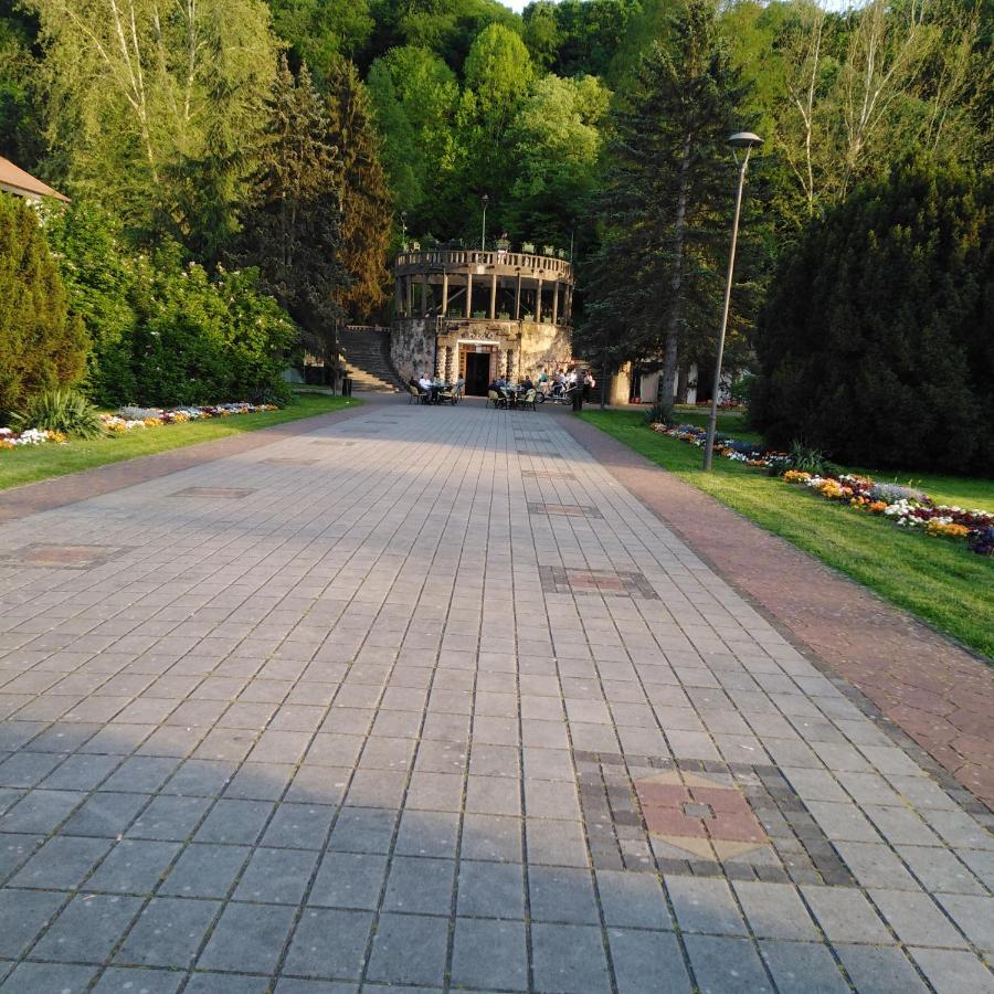 Apartman Sasa Banja Koviljaca Bagian luar foto