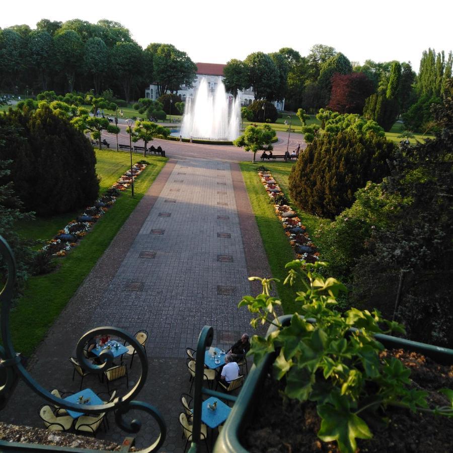 Apartman Sasa Banja Koviljaca Bagian luar foto